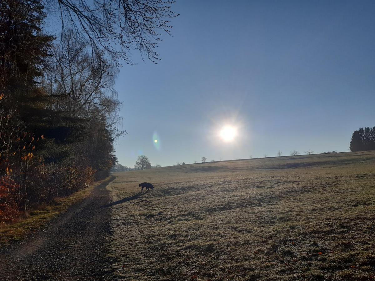 Albblick Lägenhet Bad Herrenalb Exteriör bild